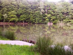 �tang Sire Claude Suarce