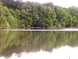 �tang Sire Claude Suarce