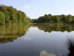 �tang Sire Claude Suarce