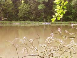 �tang Sire Claude Suarce