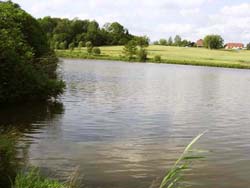 �tang Renaud Evette