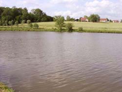 �tang Renaud Evette