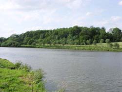 �tang Renaud Evette