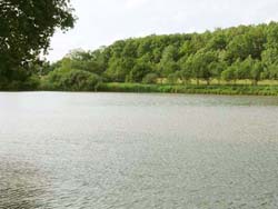 �tang Renaud Evette