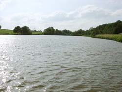 �tang Renaud Evette